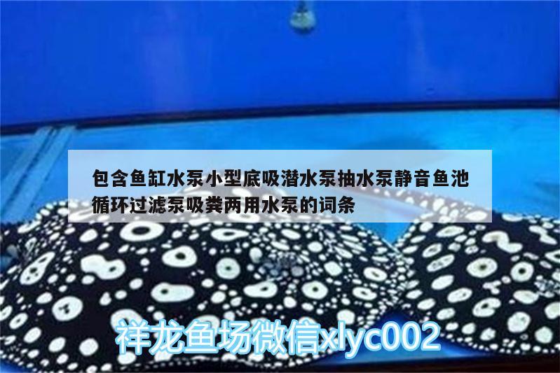 包含魚缸水泵小型底吸潛水泵抽水泵靜音魚池循環(huán)過濾泵吸糞兩用水泵的詞條