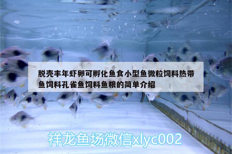 脫殼豐年蝦卵可孵化魚食小型魚微粒飼料熱帶魚飼料孔雀魚飼料魚糧的簡單介紹 廣州水族器材濾材批發(fā)市場 第1張