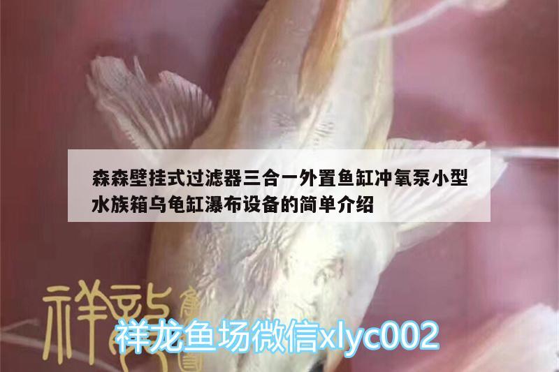 森森壁掛式過濾器三合一外置魚缸沖氧泵小型水族箱烏龜缸瀑布設(shè)備的簡單介紹 烏龜