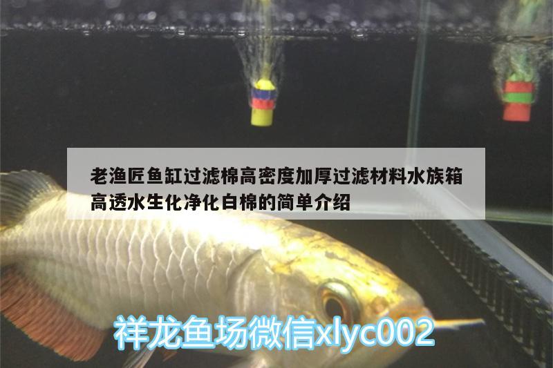 老漁匠魚缸過濾棉高密度加厚過濾材料水族箱高透水生化凈化白棉的簡(jiǎn)單介紹 魚缸/水族箱