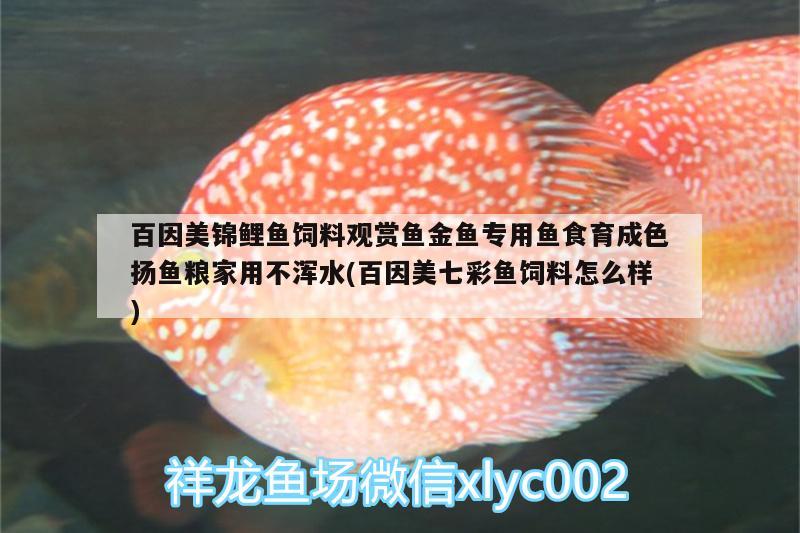 百因美錦鯉魚(yú)飼料觀賞魚(yú)金魚(yú)專用魚(yú)食育成色揚(yáng)魚(yú)糧家用不渾水(百因美七彩魚(yú)飼料怎么樣)