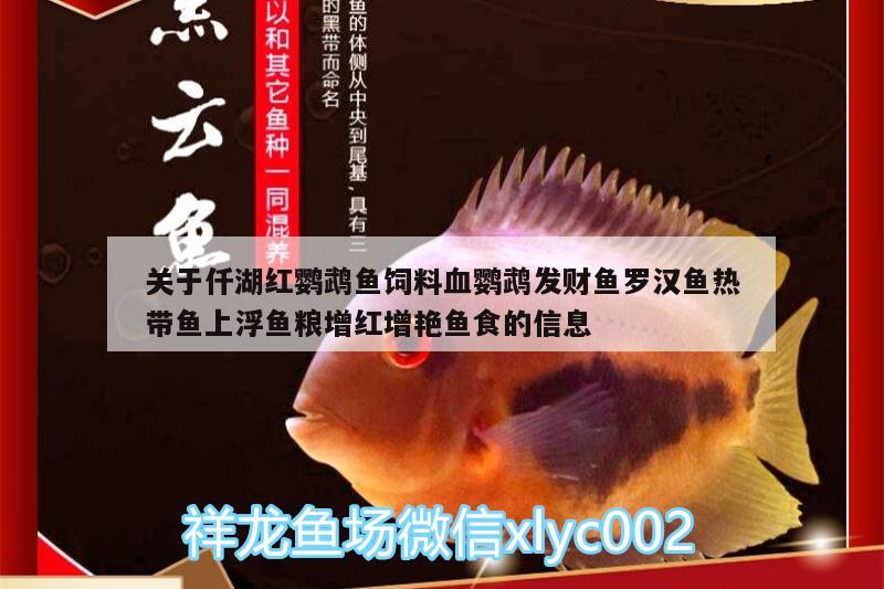 關(guān)于仟湖紅鸚鵡魚(yú)飼料血鸚鵡發(fā)財(cái)魚(yú)羅漢魚(yú)熱帶魚(yú)上浮魚(yú)糧增紅增艷魚(yú)食的信息