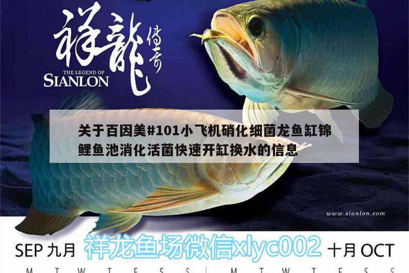 關(guān)于百因美#101小飛機(jī)硝化細(xì)菌龍魚缸錦鯉魚池消化活菌快速開缸換水的信息 硝化細(xì)菌