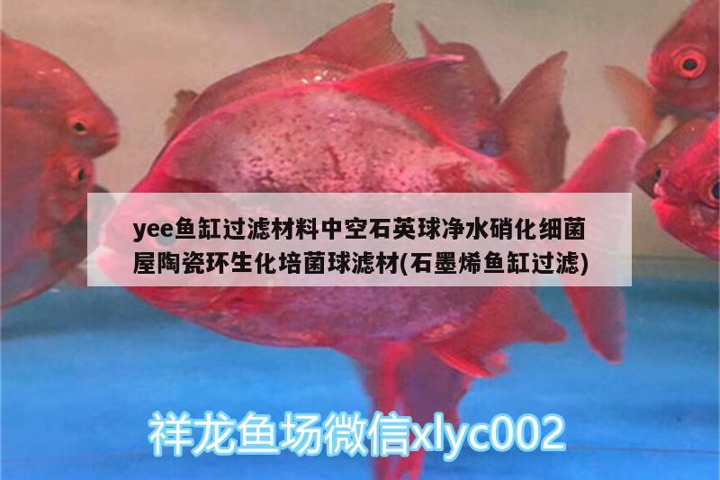 yee魚缸過濾材料中空石英球凈水硝化細(xì)菌屋陶瓷環(huán)生化培菌球?yàn)V材(石墨烯魚缸過濾) yee