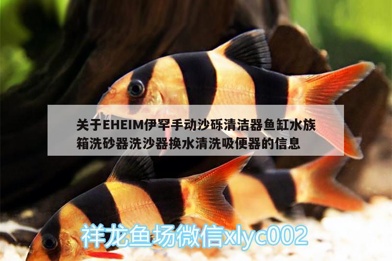 關(guān)于EHEIM伊罕手動(dòng)沙礫清潔器魚(yú)缸水族箱洗砂器洗沙器換水清洗吸便器的信息