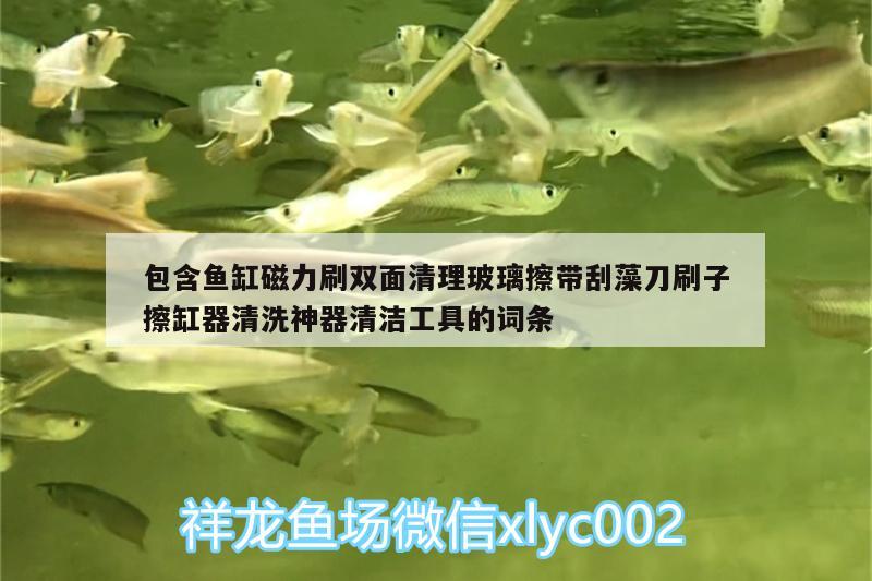 包含魚缸磁力刷雙面清理玻璃擦帶刮藻刀刷子擦缸器清洗神器清潔工具的詞條