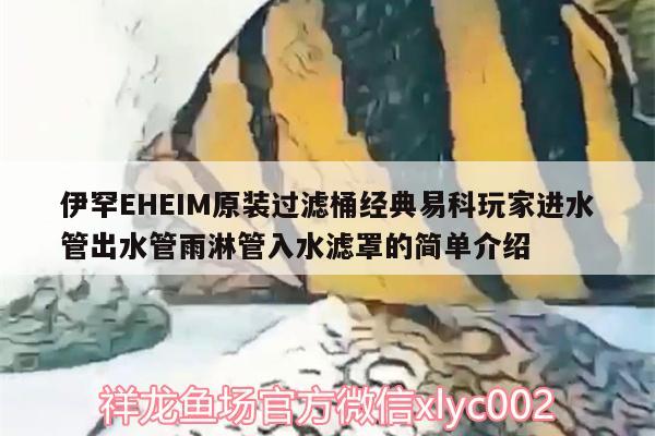 伊罕EHEIM原裝過濾桶經(jīng)典易科玩家進(jìn)水管出水管雨淋管入水濾罩的簡單介紹 伊罕水族 第1張