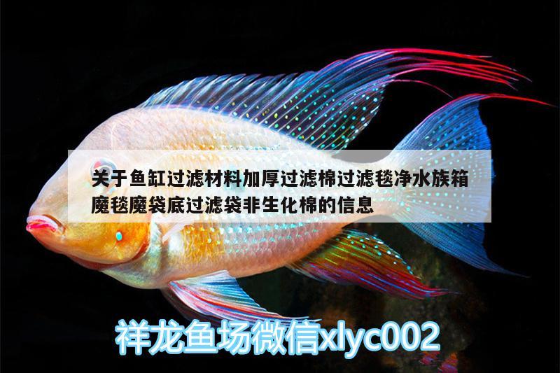 關(guān)于魚缸過濾材料加厚過濾棉過濾毯凈水族箱魔毯魔袋底過濾袋非生化棉的信息 魚缸/水族箱