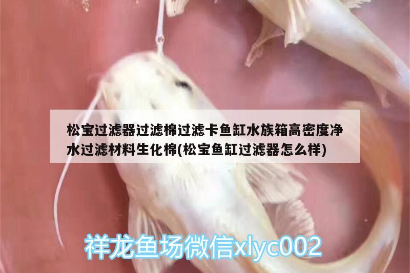 松寶過濾器過濾棉過濾卡魚缸水族箱高密度凈水過濾材料生化棉(松寶魚缸過濾器怎么樣)