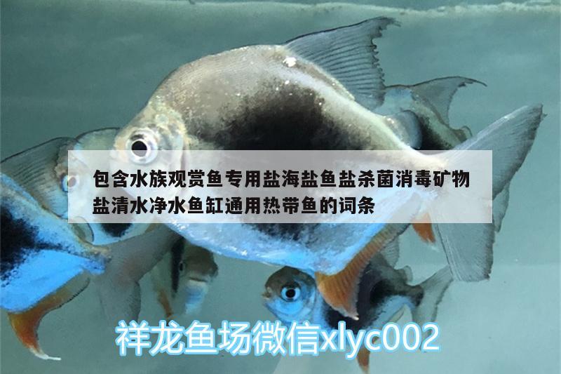 包含水族觀賞魚專用鹽海鹽魚鹽殺菌消毒礦物鹽清水凈水魚缸通用熱帶魚的詞條