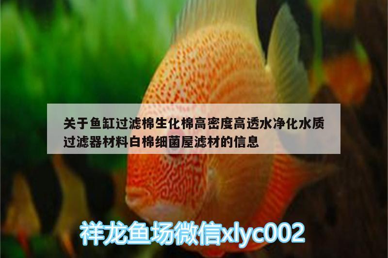 關(guān)于魚缸過濾棉生化棉高密度高透水凈化水質(zhì)過濾器材料白棉細(xì)菌屋濾材的信息 廣州水族器材濾材批發(fā)市場