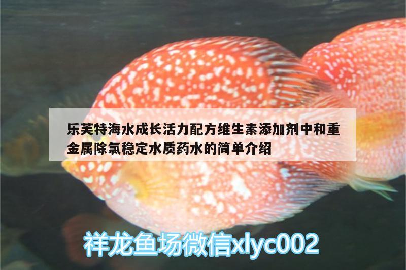 樂芙特海水成長活力配方維生素添加劑中和重金屬除氯穩(wěn)定水質(zhì)藥水的簡單介紹 廣州水族器材濾材批發(fā)市場