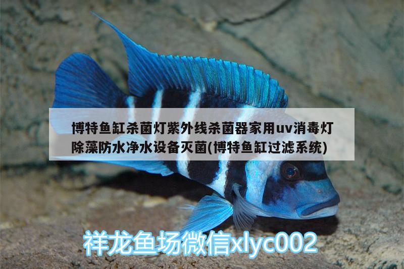 博特魚缸殺菌燈紫外線殺菌器家用uv消毒燈除藻防水凈水設(shè)備滅菌(博特魚缸過濾系統(tǒng)) 博特水族