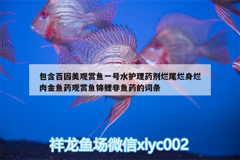 包含百因美觀賞魚一號水護理藥劑爛尾爛身爛肉金魚藥觀賞魚錦鯉非魚藥的詞條 廣州水族器材濾材批發(fā)市場