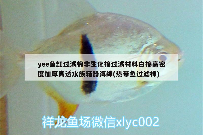 yee魚缸過濾棉非生化棉過濾材料白棉高密度加厚高透水族箱器海綿(熱帶魚過濾棉)