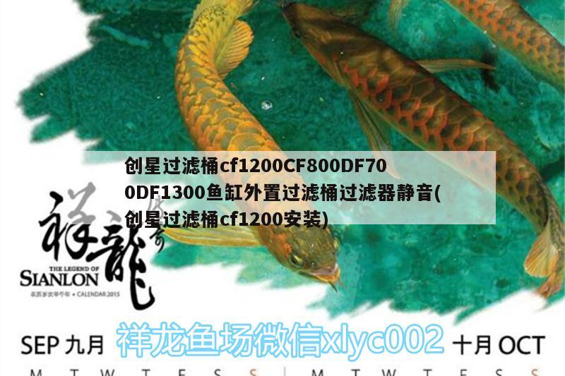 創(chuàng)星過濾桶cf1200CF800DF700DF1300魚缸外置過濾桶過濾器靜音(創(chuàng)星過濾桶cf1200安裝) 廣州水族器材濾材批發(fā)市場(chǎng)