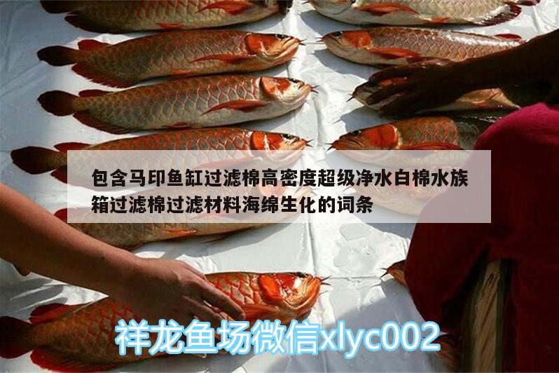 包含馬印魚缸過濾棉高密度超級凈水白棉水族箱過濾棉過濾材料海綿生化的詞條