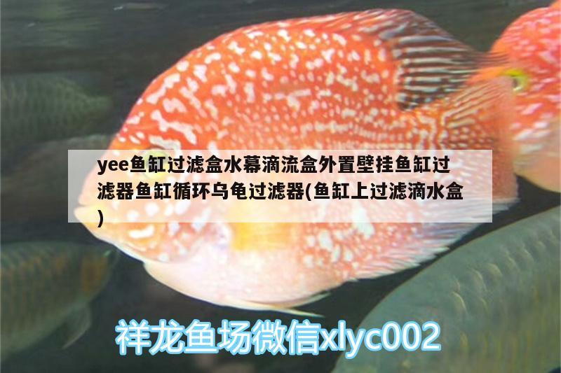 yee魚缸過濾盒水幕滴流盒外置壁掛魚缸過濾器魚缸循環(huán)烏龜過濾器(魚缸上過濾滴水盒)