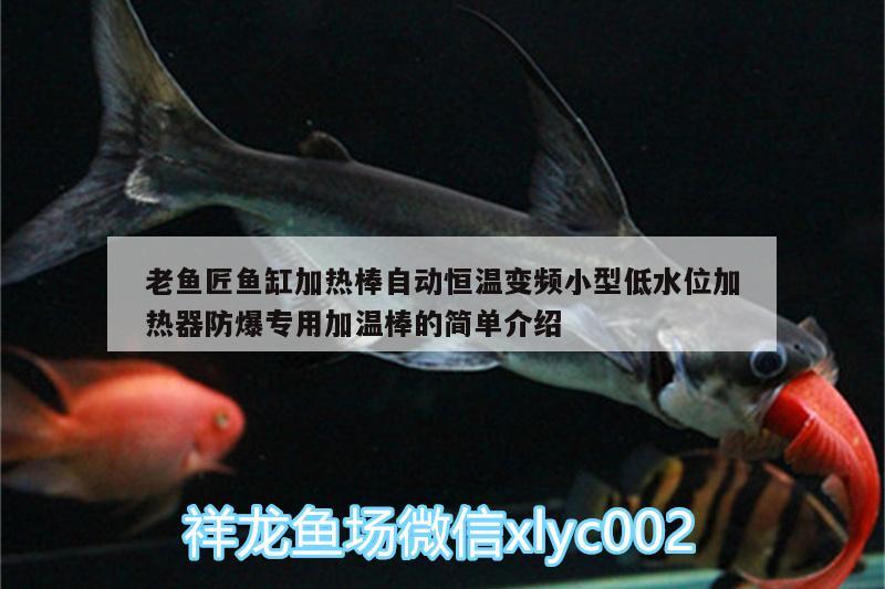 老魚匠魚缸加熱棒自動(dòng)恒溫變頻小型低水位加熱器防爆專用加溫棒的簡(jiǎn)單介紹 老魚匠