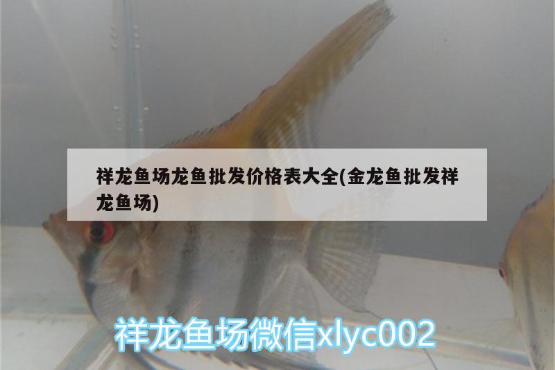 祥龍魚場(chǎng)龍魚批發(fā)價(jià)格表大全(金龍魚批發(fā)祥龍魚場(chǎng)) 龍魚批發(fā) 第2張