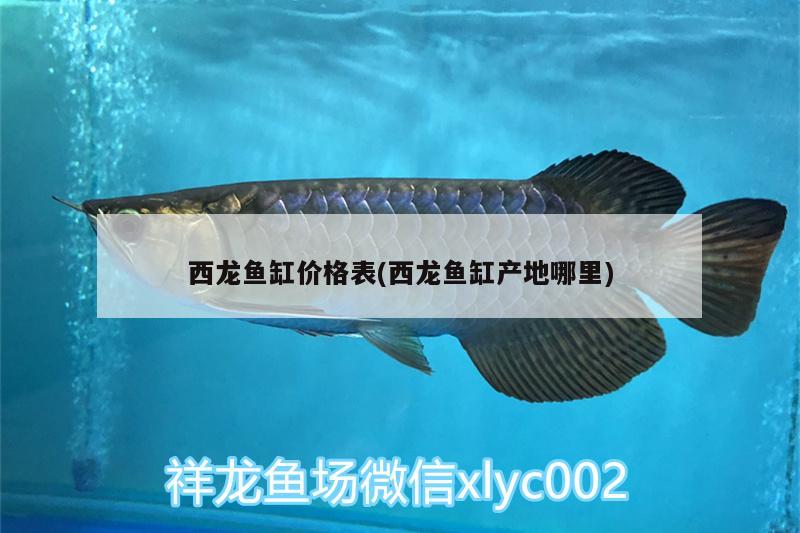 西龍魚缸價(jià)格表(西龍魚缸產(chǎn)地哪里)