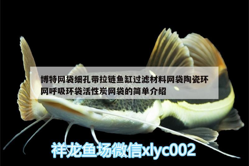 博特網(wǎng)袋細(xì)孔帶拉鏈魚缸過濾材料網(wǎng)袋陶瓷環(huán)網(wǎng)呼吸環(huán)袋活性炭網(wǎng)袋的簡(jiǎn)單介紹