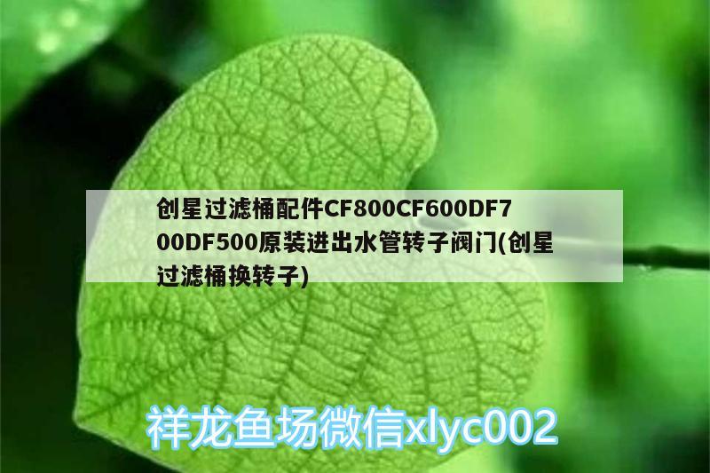 創(chuàng)星過濾桶配件CF800CF600DF700DF500原裝進(jìn)出水管轉(zhuǎn)子閥門(創(chuàng)星過濾桶換轉(zhuǎn)子) 廣州水族器材濾材批發(fā)市場(chǎng)