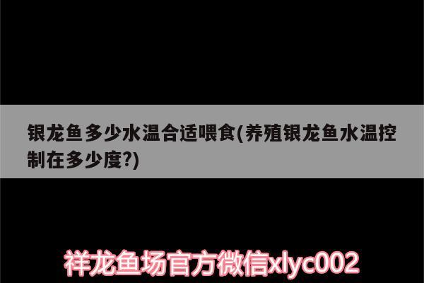 銀龍魚多少水溫合適喂食(養(yǎng)殖銀龍魚水溫控制在多少度?)