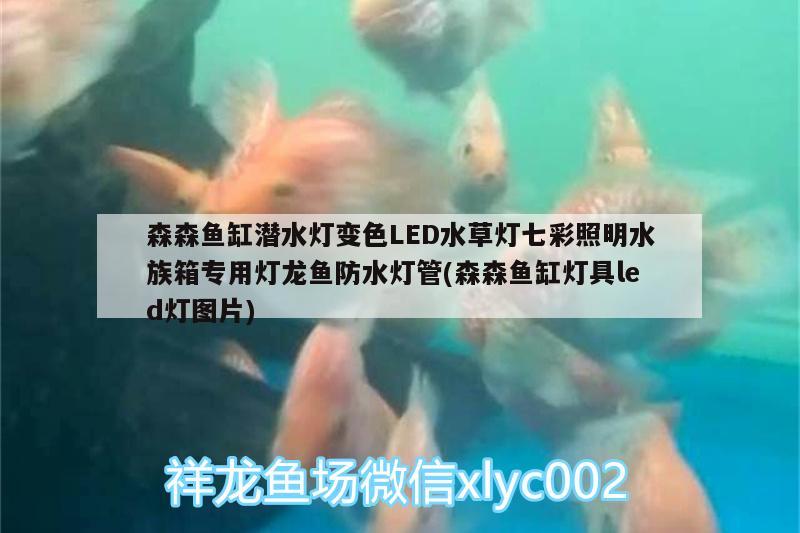 森森魚缸潛水燈變色LED水草燈七彩照明水族箱專用燈龍魚防水燈管(森森魚缸燈具led燈圖片) 魚缸/水族箱