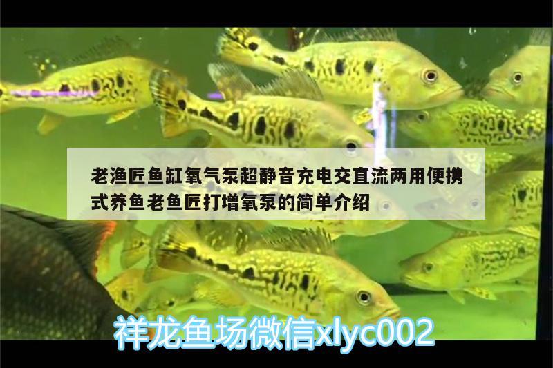 老漁匠魚缸氧氣泵超靜音充電交直流兩用便攜式養(yǎng)魚老魚匠打增氧泵的簡單介紹 老魚匠