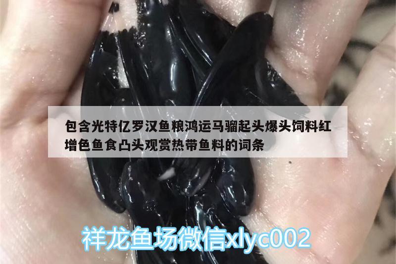 包含光特億羅漢魚(yú)糧鴻運(yùn)馬騮起頭爆頭飼料紅增色魚(yú)食凸頭觀賞熱帶魚(yú)料的詞條 光特億