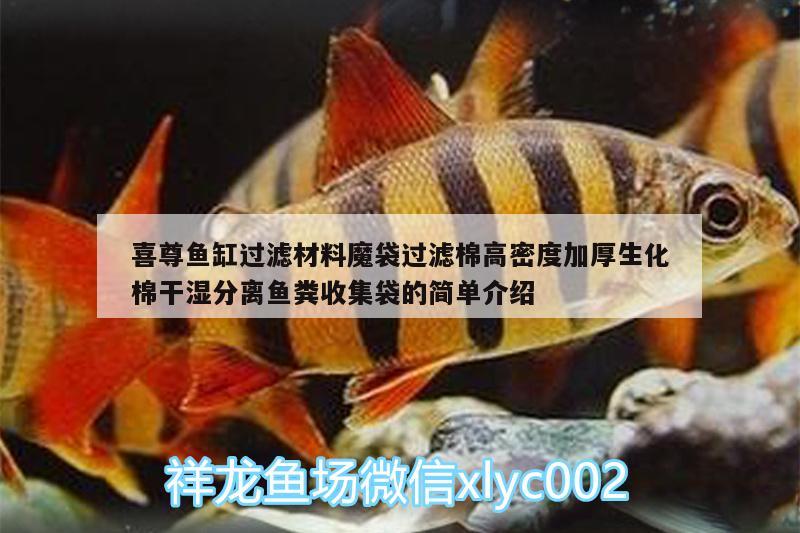 喜尊魚缸過濾材料魔袋過濾棉高密度加厚生化棉干濕分離魚糞收集袋的簡(jiǎn)單介紹 廣州水族器材濾材批發(fā)市場(chǎng)