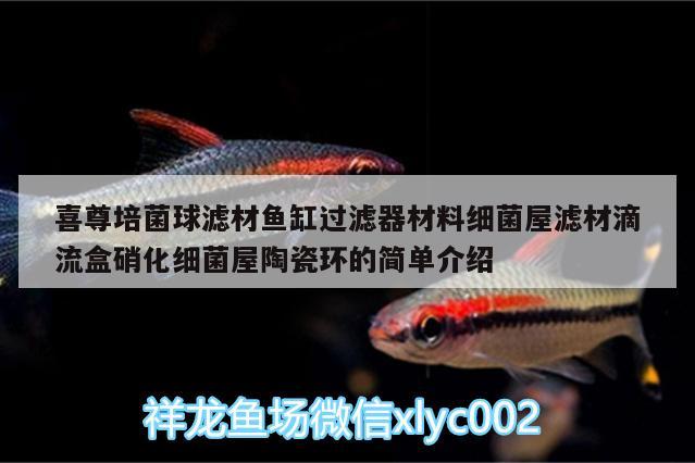 喜尊培菌球?yàn)V材魚(yú)缸過(guò)濾器材料細(xì)菌屋濾材滴流盒硝化細(xì)菌屋陶瓷環(huán)的簡(jiǎn)單介紹 硝化細(xì)菌