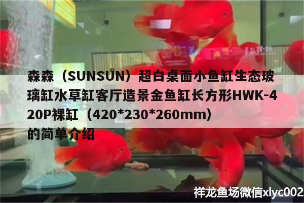 森森（SUNSUN）超白桌面小魚缸生態(tài)玻璃缸水草缸客廳造景金魚缸長方形HWK-420P裸缸（420 水草