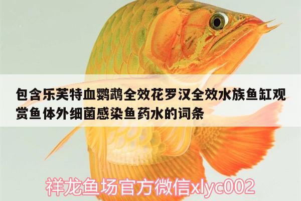 包含樂芙特血鸚鵡全效花羅漢全效水族魚缸觀賞魚體外細菌感染魚藥水的詞條