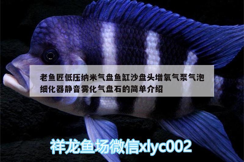 老魚匠低壓納米氣盤魚缸沙盤頭增氧氣泵氣泡細(xì)化器靜音霧化氣盤石的簡(jiǎn)單介紹