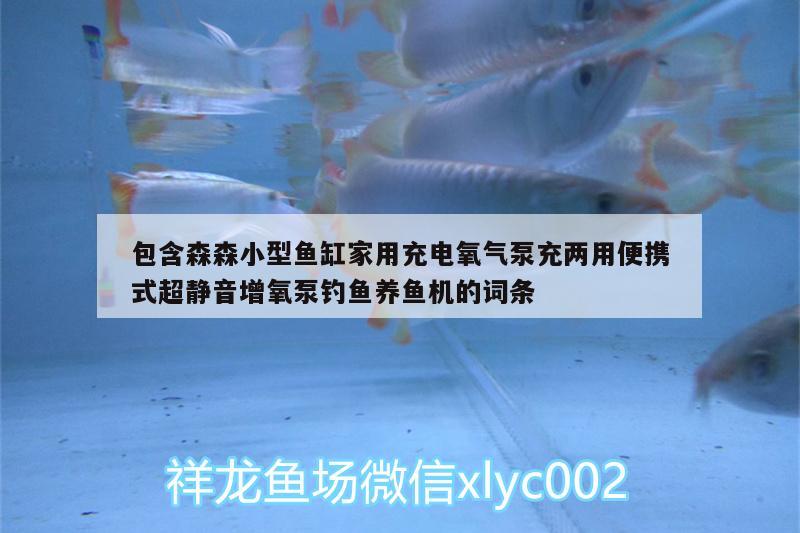 包含森森小型魚缸家用充電氧氣泵充兩用便攜式超靜音增氧泵釣魚養(yǎng)魚機(jī)的詞條