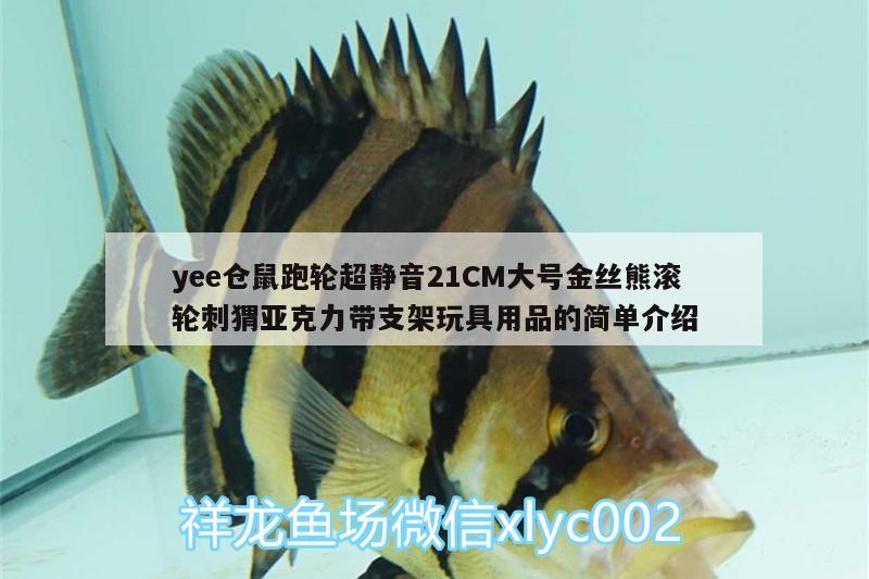 yee倉(cāng)鼠跑輪超靜音21CM大號(hào)金絲熊滾輪刺猬亞克力帶支架玩具用品的簡(jiǎn)單介紹 yee