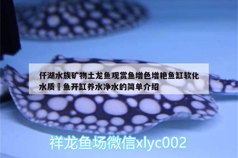 仟湖水族礦物土龍魚觀賞魚增色增艷魚缸軟化水質(zhì)魟魚開缸養(yǎng)水凈水的簡單介紹