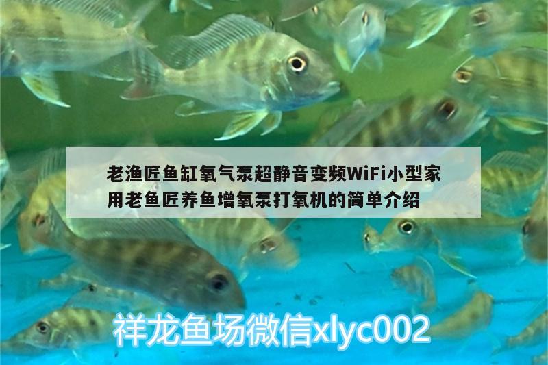 老漁匠魚缸氧氣泵超靜音變頻WiFi小型家用老魚匠養(yǎng)魚增氧泵打氧機(jī)的簡(jiǎn)單介紹 老魚匠