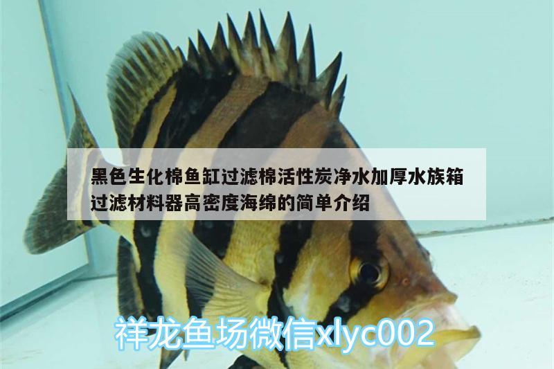 黑色生化棉魚(yú)缸過(guò)濾棉活性炭?jī)羲雍袼逑溥^(guò)濾材料器高密度海綿的簡(jiǎn)單介紹 魚(yú)缸/水族箱 第1張