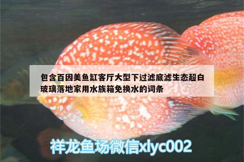 包含百因美魚缸客廳大型下過濾底濾生態(tài)超白玻璃落地家用水族箱免換水的詞條