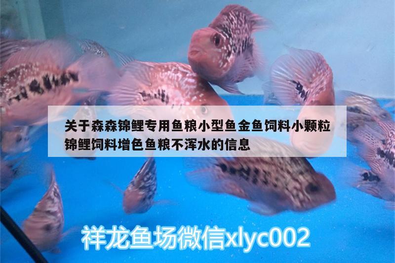 關(guān)于森森錦鯉專用魚(yú)糧小型魚(yú)金魚(yú)飼料小顆粒錦鯉飼料增色魚(yú)糧不渾水的信息 廣州水族器材濾材批發(fā)市場(chǎng)