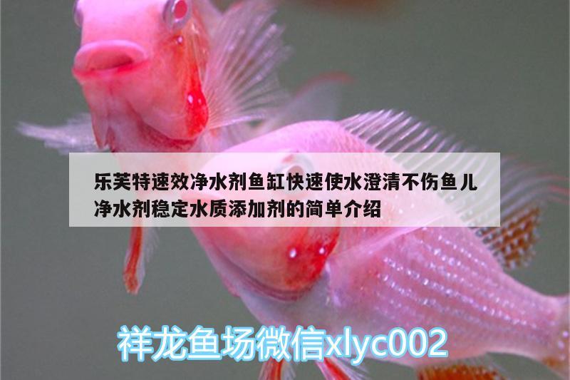 樂芙特速效凈水劑魚缸快速使水澄清不傷魚兒凈水劑穩(wěn)定水質添加劑的簡單介紹