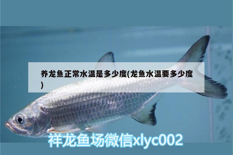 養(yǎng)龍魚正常水溫是多少度(龍魚水溫要多少度) 過濾設備 第3張