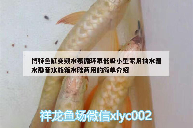 博特魚缸變頻水泵循環(huán)泵低吸小型家用抽水潛水靜音水族箱水陸兩用的簡單介紹 博特水族