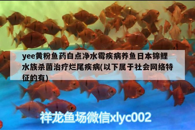 yee黃粉魚(yú)藥白點(diǎn)凈水霉疾病養(yǎng)魚(yú)日本錦鯉水族殺菌治療爛尾疾病(以下屬于社會(huì)網(wǎng)絡(luò)特征的有) yee