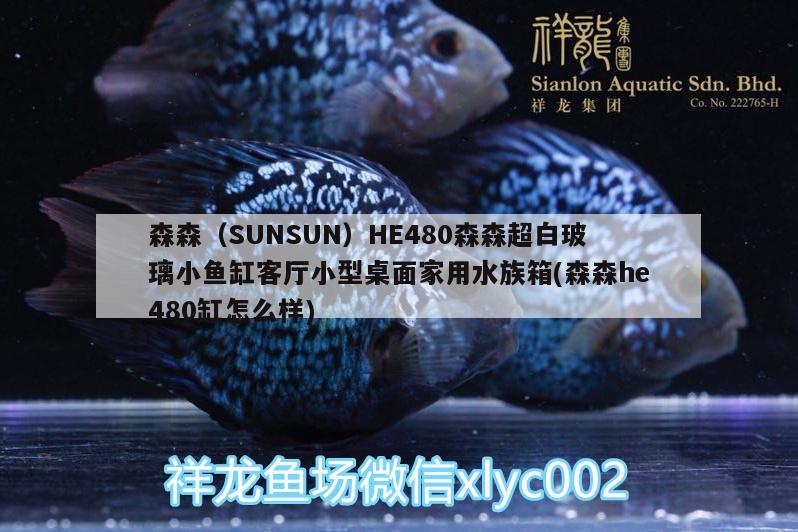 森森（SUNSUN）HE480森森超白玻璃小魚(yú)缸客廳小型桌面家用水族箱(森森h(huán)e480缸怎么樣)