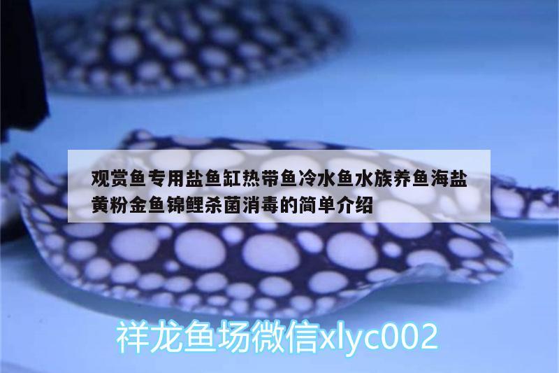 觀賞魚專用鹽魚缸熱帶魚冷水魚水族養(yǎng)魚海鹽黃粉金魚錦鯉殺菌消毒的簡單介紹