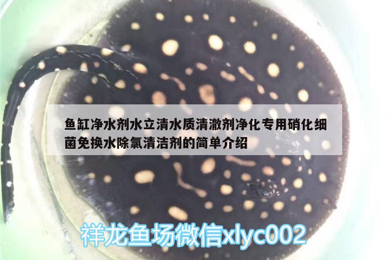 魚缸凈水劑水立清水質(zhì)清澈劑凈化專用硝化細(xì)菌免換水除氯清潔劑的簡單介紹